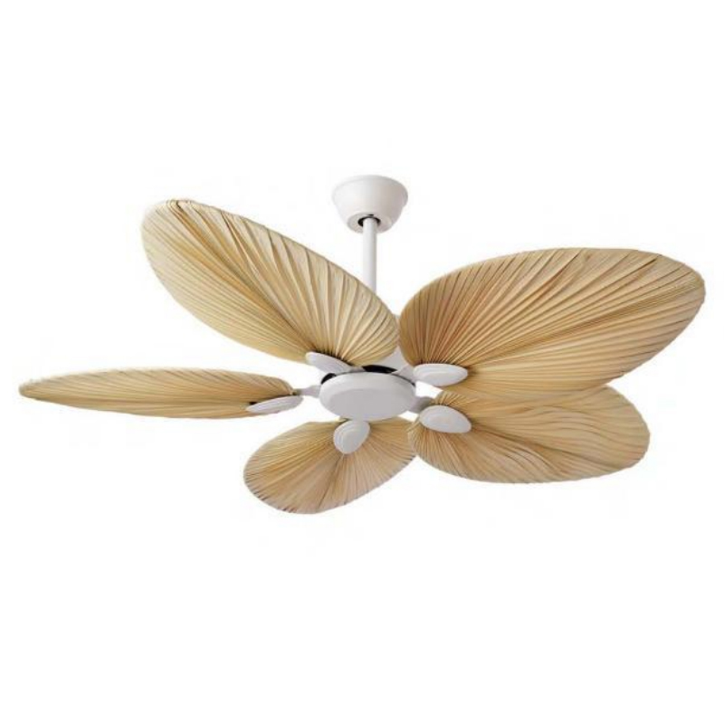 Ceiling Fan With Light | BL-2843-WH-WG