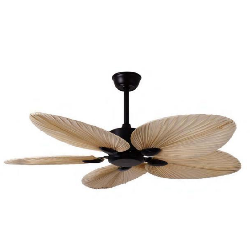 Ceiling Fan With Light | BL-2843-BK-WG
