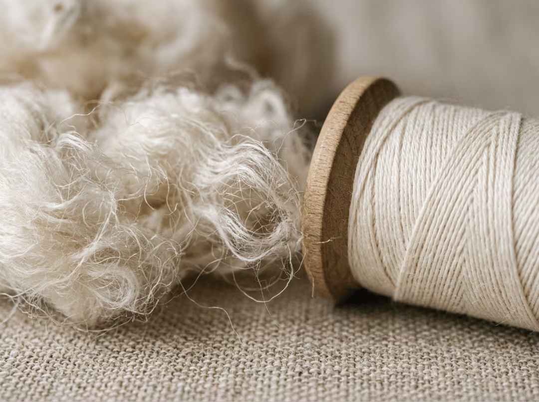 Long staple cotton fibers and yarn close up Long staple cotton fibers and yarn close up