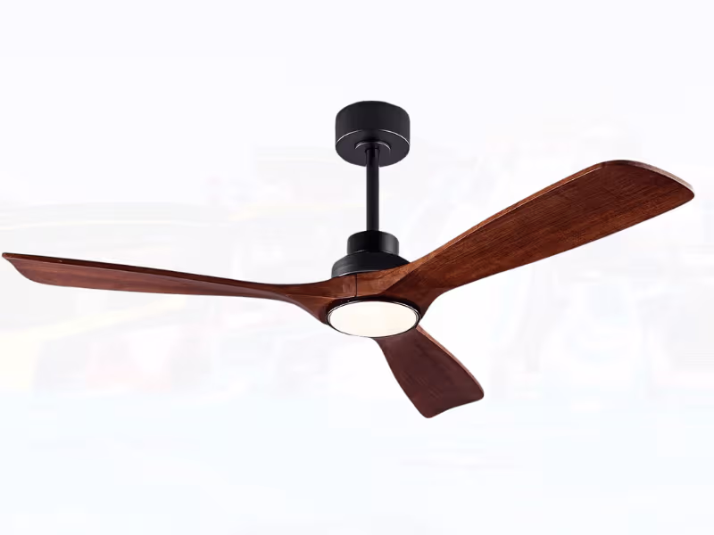Ceiling Fan With Light